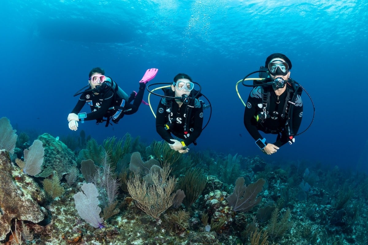 Dive Trips for Marine Biology Enthusiasts