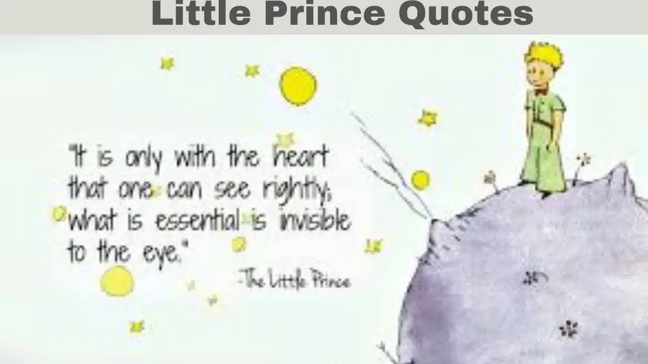 Little Prince Quotes