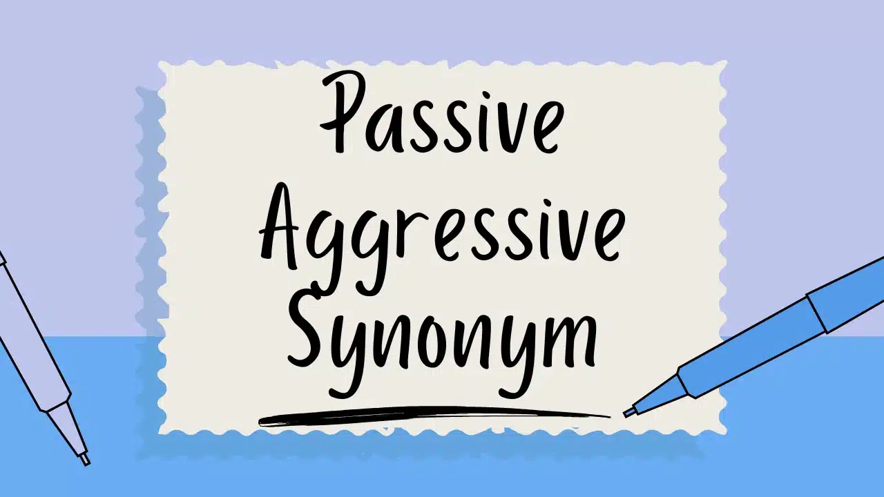 Passive Aggressive Synonym