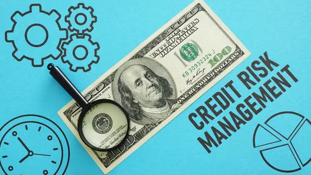 Credit Risk Assessment Methods