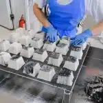 Continuous Carbonization Furnaces and Charcoal Production Lines Guide