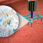 Bridging Science with Art Medical Illustration & Animation